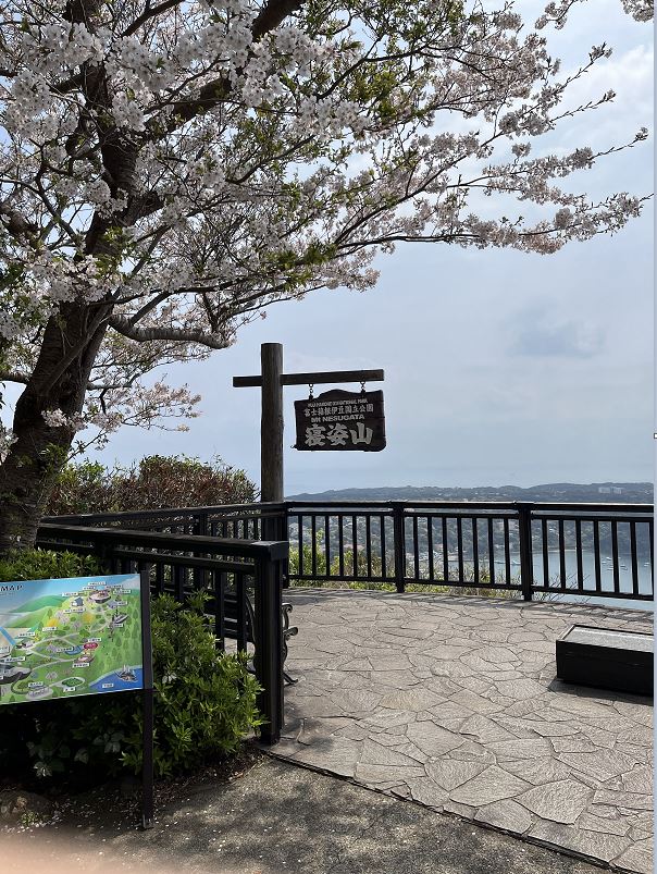 本棚